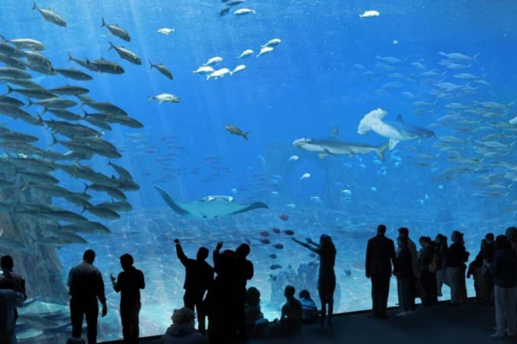 La Perle Marine :Boulogne Sur Mer 외부 사진